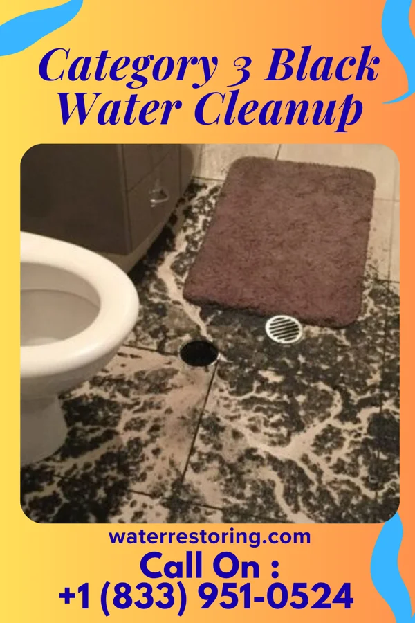Category 3 Black Water Cleanup in Huntsville, MO